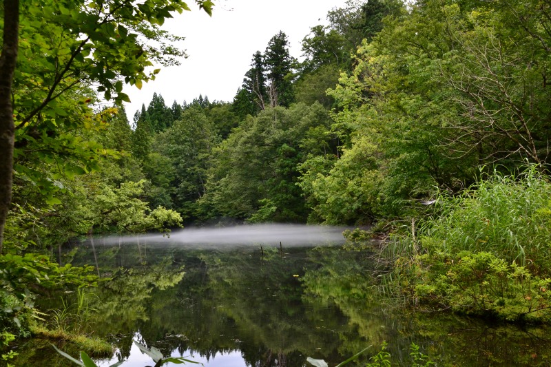 f:id:y3575t3545:20210827133659j:plain