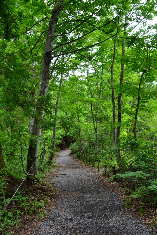 f:id:y3575t3545:20210827134055j:plain