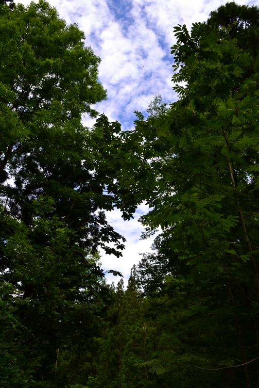 f:id:y3575t3545:20210830131349j:plain
