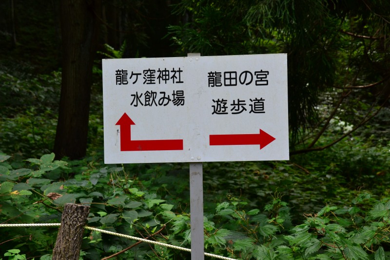 f:id:y3575t3545:20210830133619j:plain