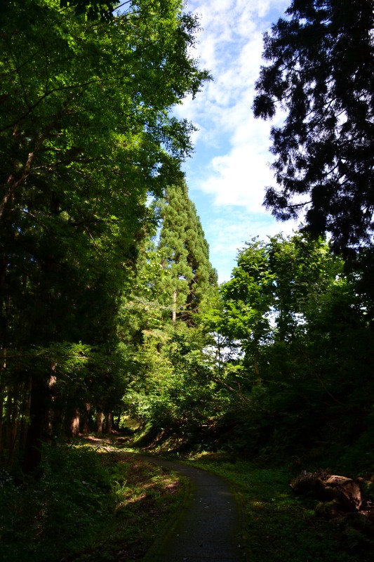 f:id:y3575t3545:20210830140920j:plain