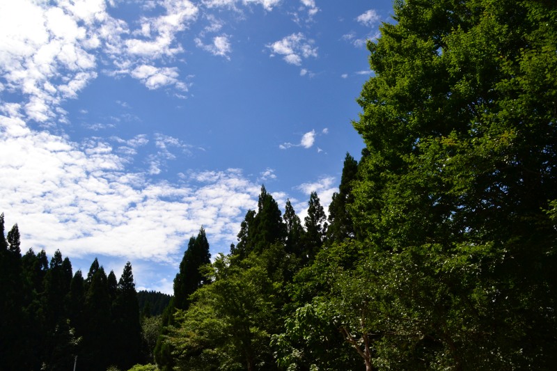 f:id:y3575t3545:20210830141011j:plain