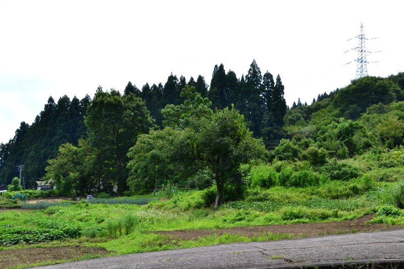f:id:y3575t3545:20210904142833j:plain