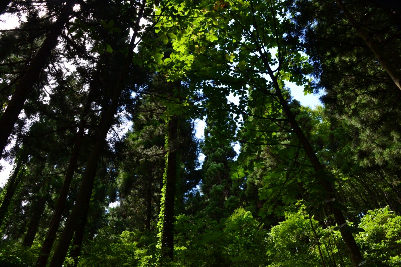 f:id:y3575t3545:20210904143309j:plain