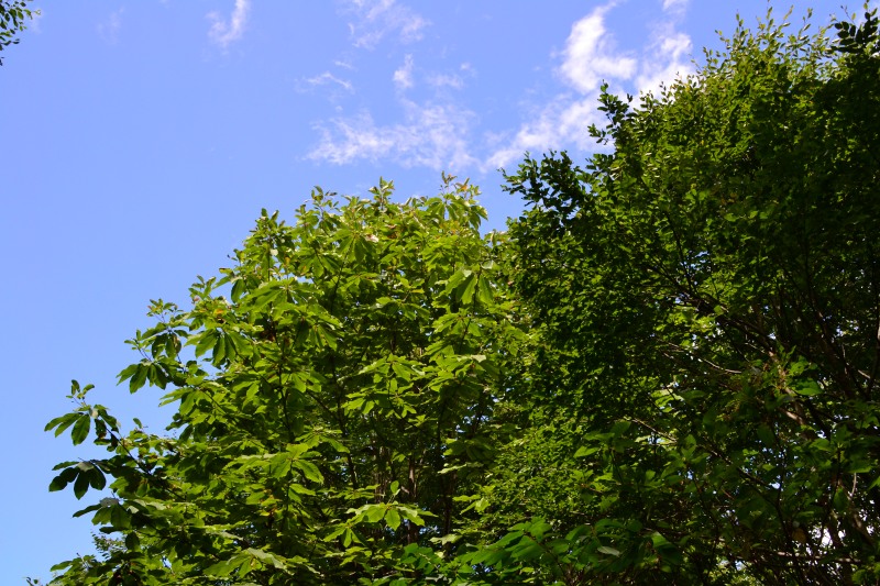 f:id:y3575t3545:20210904195538j:plain