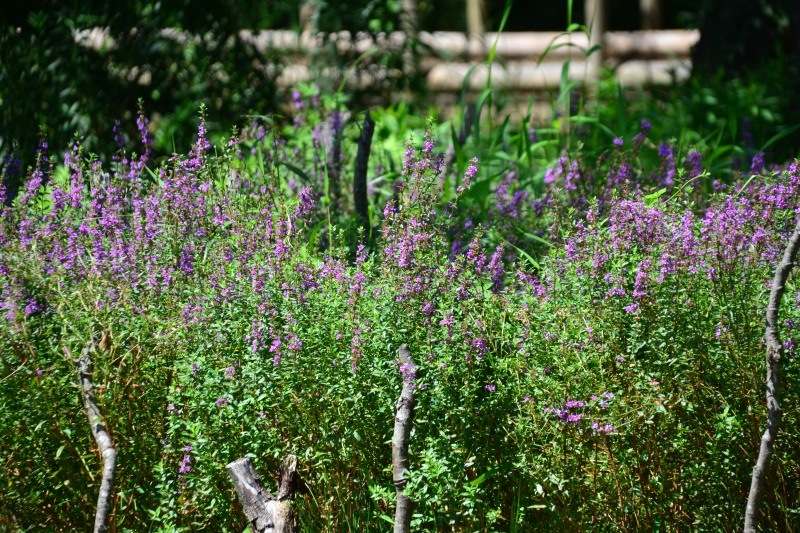 f:id:y3575t3545:20210914211125j:plain