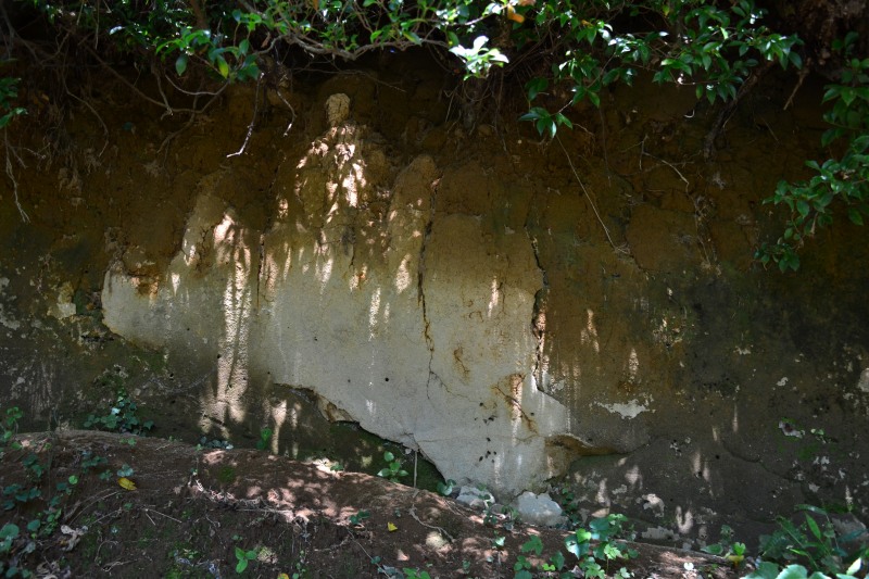 f:id:y3575t3545:20210914211647j:plain