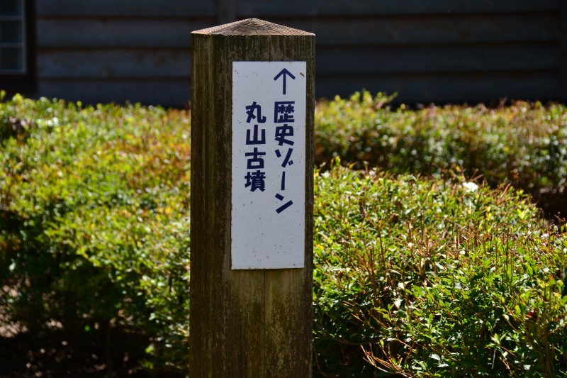 f:id:y3575t3545:20210914214137j:plain