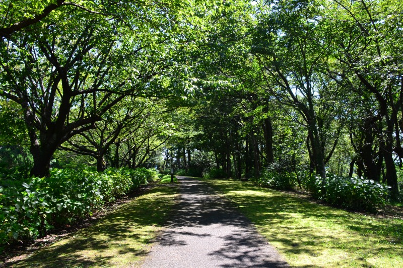 f:id:y3575t3545:20210914214222j:plain