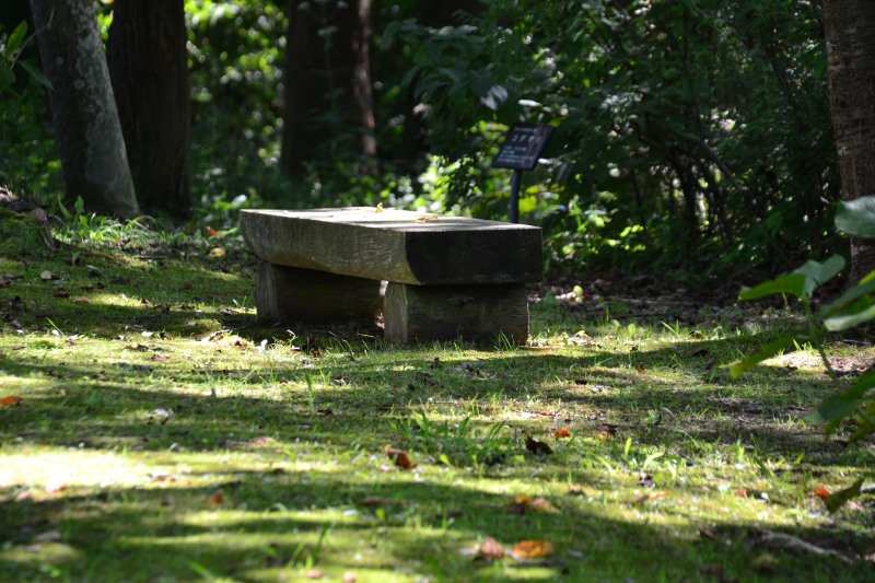 f:id:y3575t3545:20210914214324j:plain