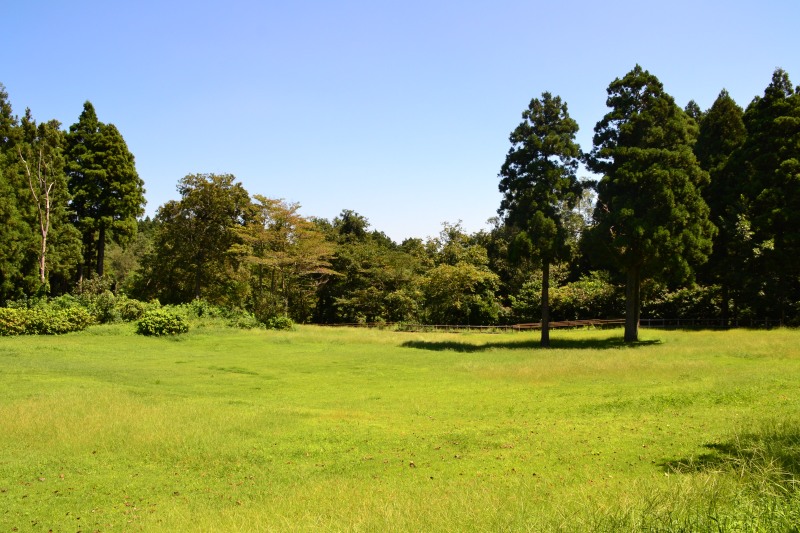 f:id:y3575t3545:20210914214653j:plain