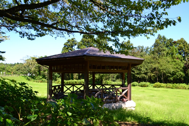 f:id:y3575t3545:20210914214658j:plain