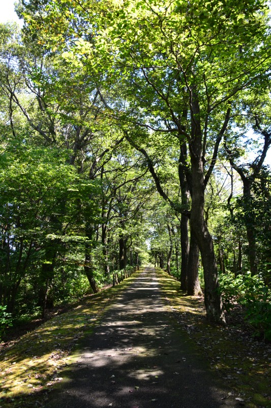 f:id:y3575t3545:20210914214757j:plain