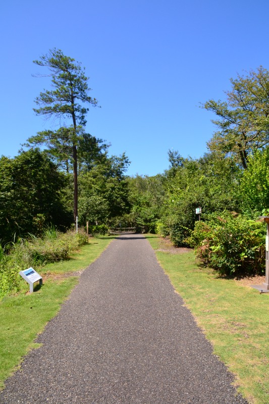 f:id:y3575t3545:20210914215434j:plain