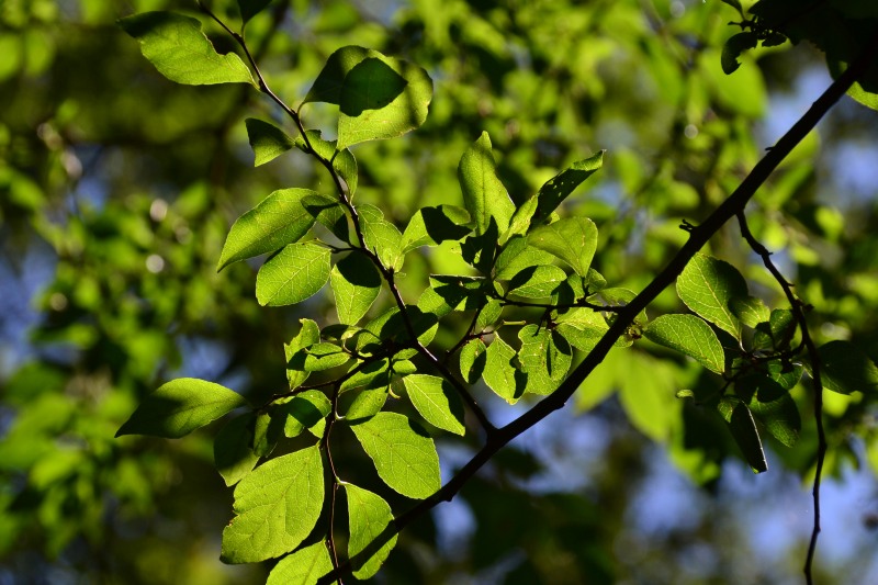 f:id:y3575t3545:20210914215722j:plain