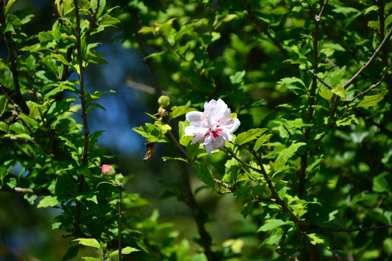 f:id:y3575t3545:20210914215742j:plain