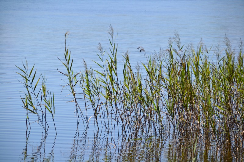 f:id:y3575t3545:20210914215958j:plain