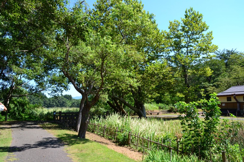 f:id:y3575t3545:20210914220222j:plain