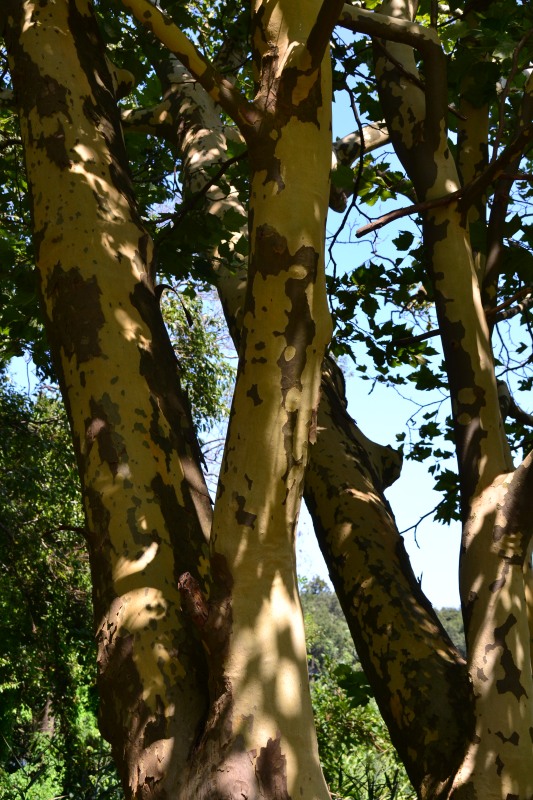 f:id:y3575t3545:20210914220536j:plain