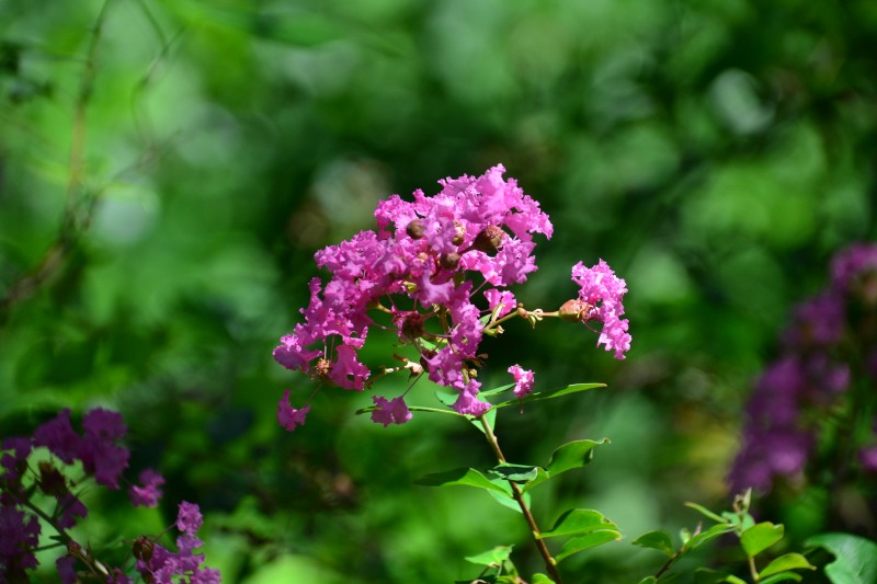 f:id:y3575t3545:20210914221625j:plain