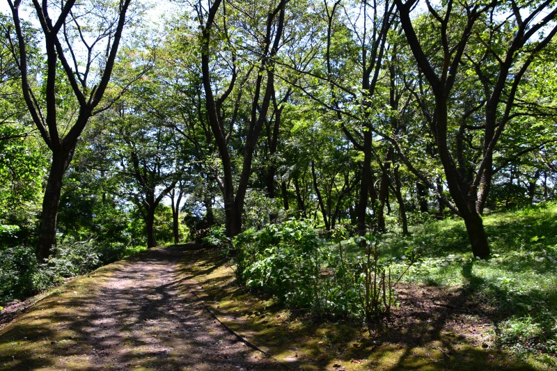 f:id:y3575t3545:20210914221850j:plain