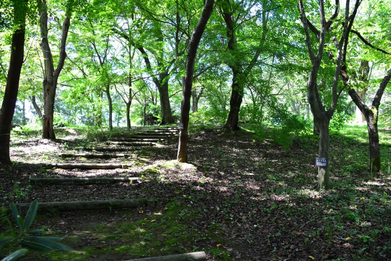 f:id:y3575t3545:20210914222325j:plain