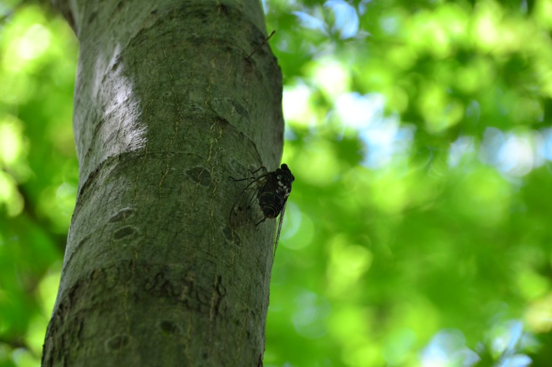 f:id:y3575t3545:20210914222328j:plain