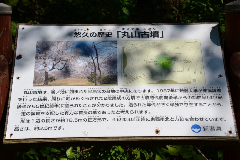 f:id:y3575t3545:20210914222507j:plain