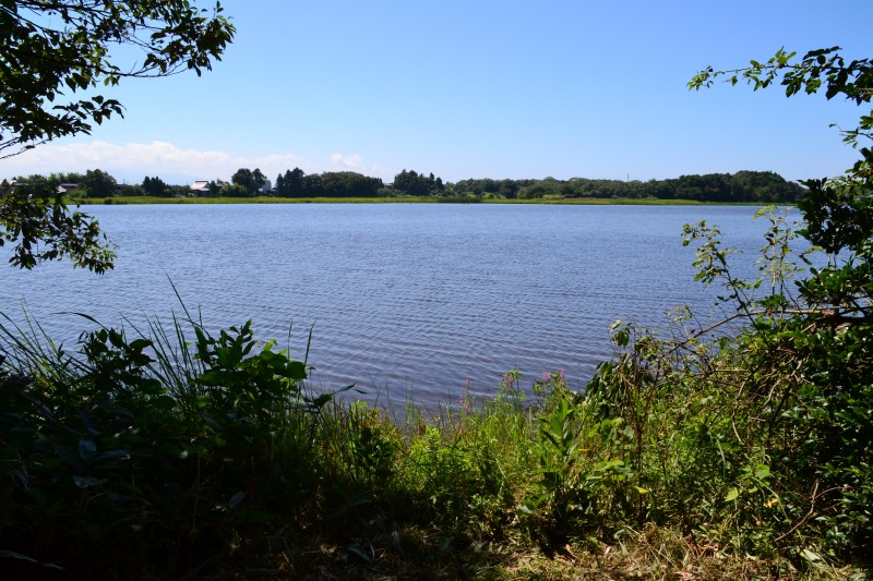 f:id:y3575t3545:20210915182124j:plain