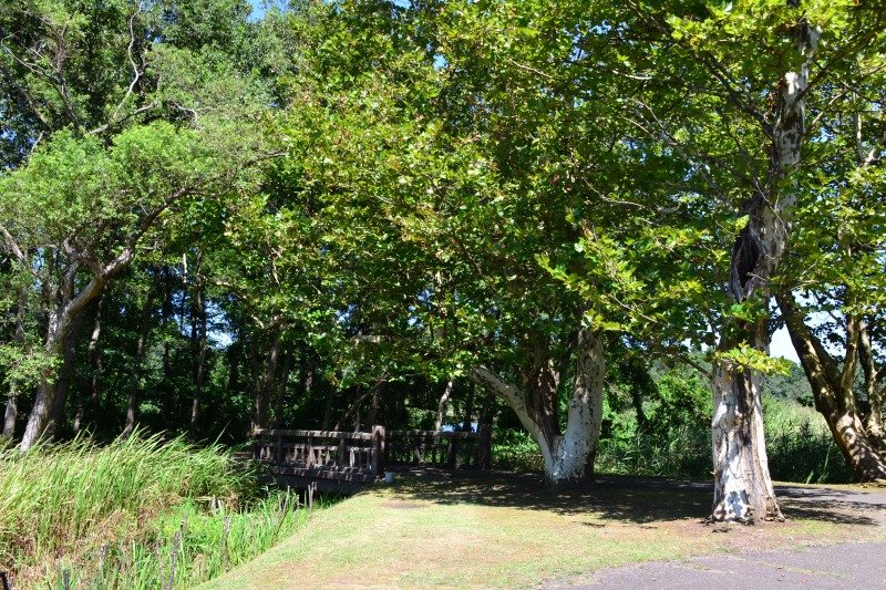 f:id:y3575t3545:20210915182949j:plain