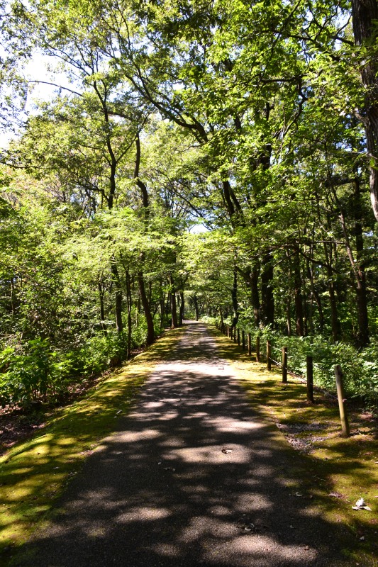 f:id:y3575t3545:20210915182955j:plain