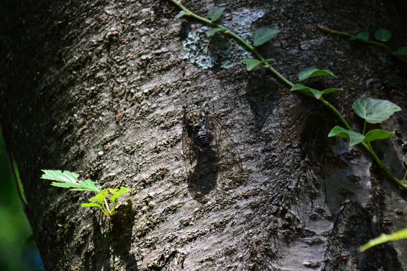 f:id:y3575t3545:20210915183153j:plain