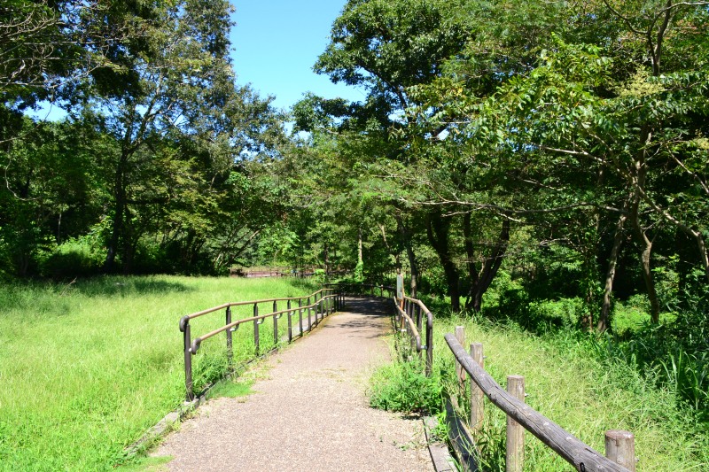 f:id:y3575t3545:20210915183705j:plain