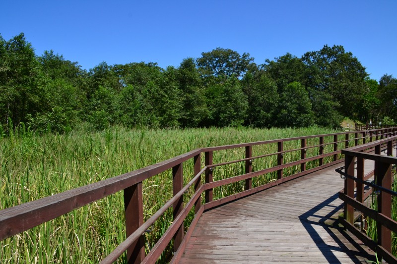 f:id:y3575t3545:20210915185155j:plain