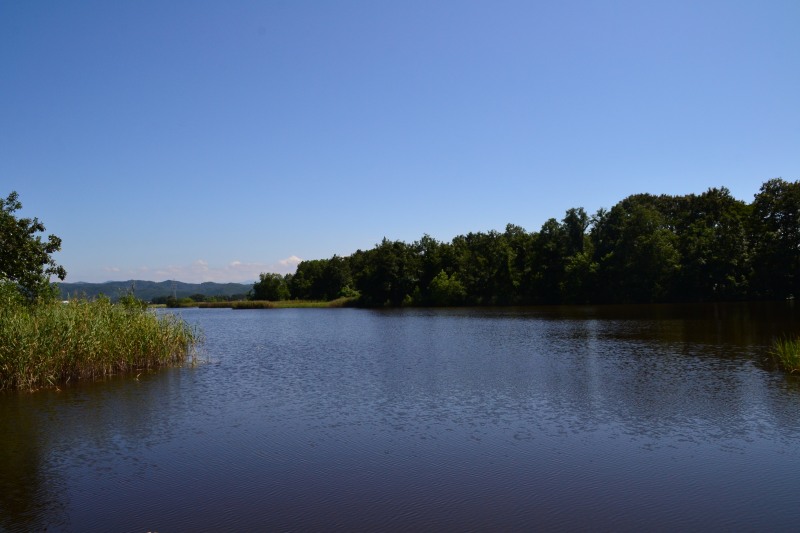 f:id:y3575t3545:20210915185229j:plain