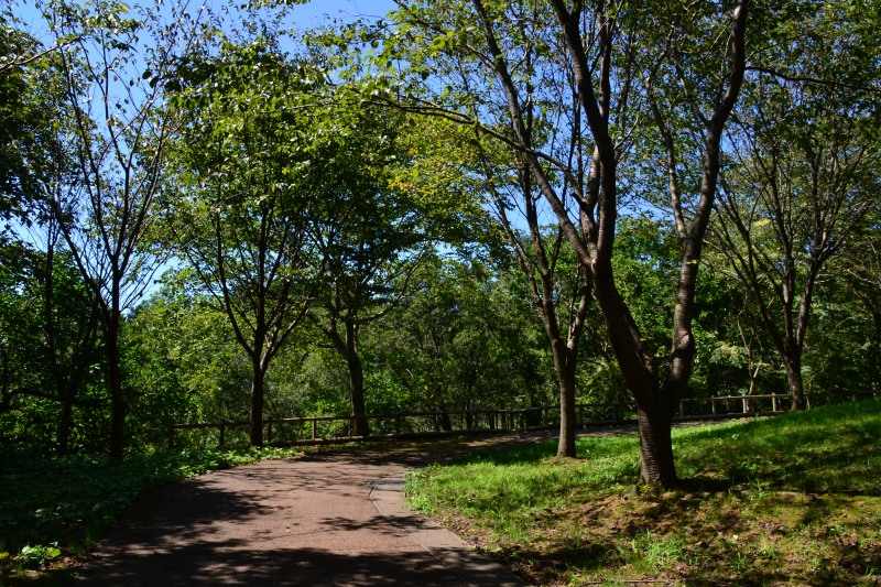 f:id:y3575t3545:20210917134638j:plain