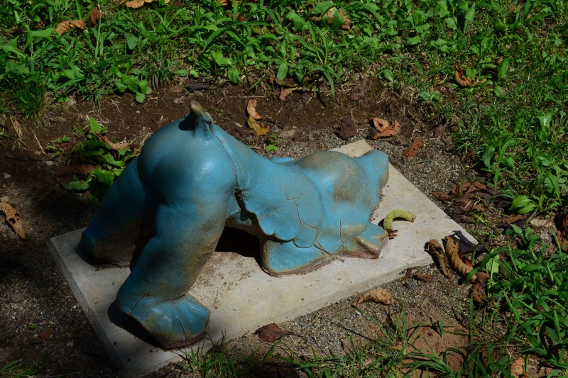 f:id:y3575t3545:20210917134754j:plain