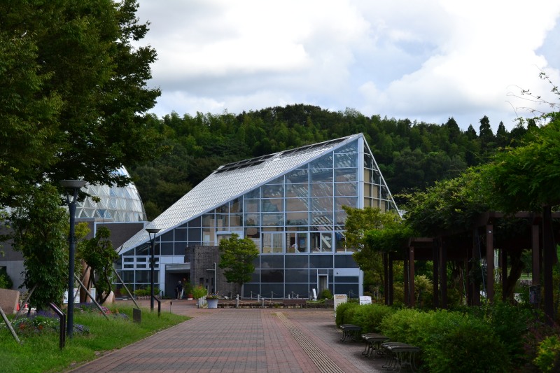 f:id:y3575t3545:20210923123736j:plain