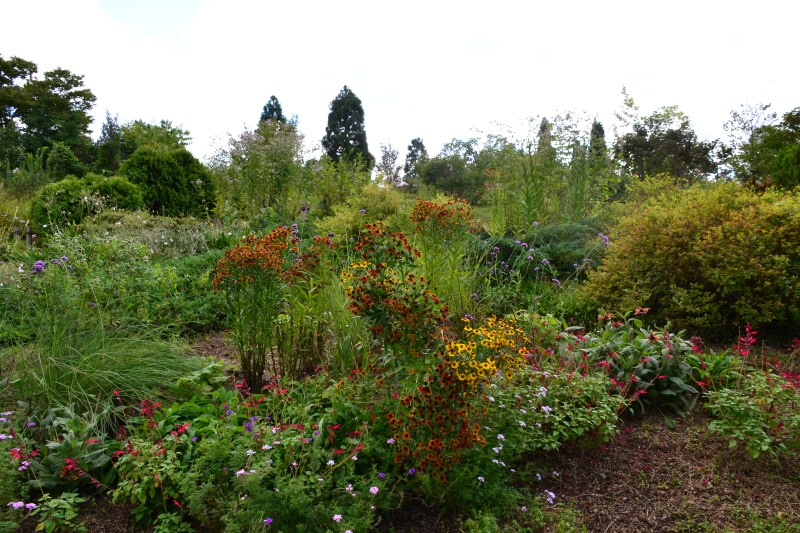 f:id:y3575t3545:20210923123949j:plain