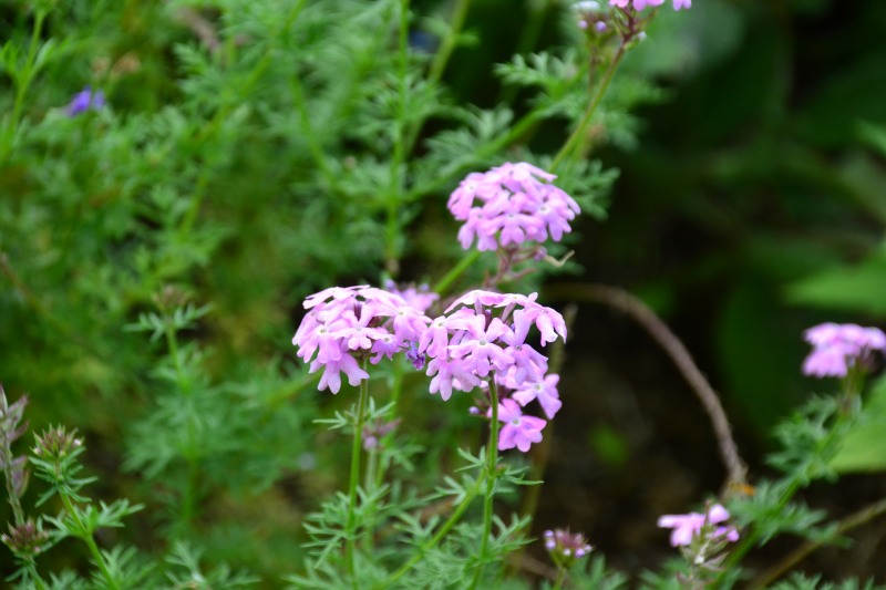 f:id:y3575t3545:20210923123959j:plain