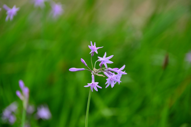 f:id:y3575t3545:20210923124005j:plain