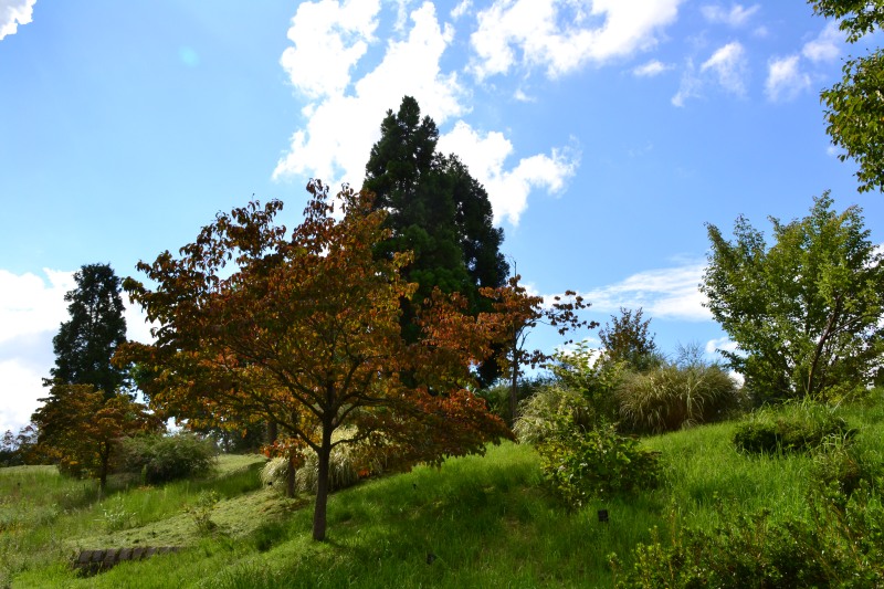 f:id:y3575t3545:20210923124549j:plain