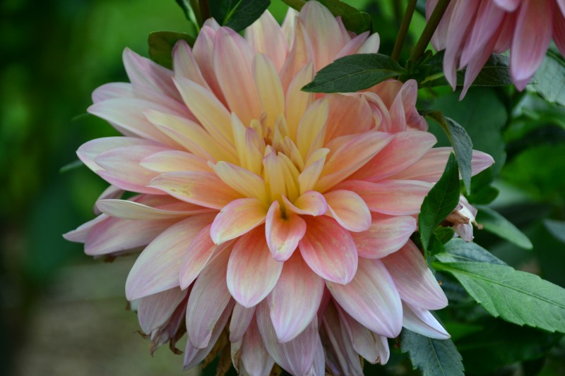 f:id:y3575t3545:20210923124945j:plain