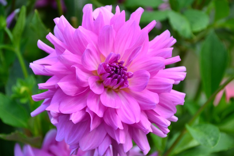 f:id:y3575t3545:20210923125119j:plain