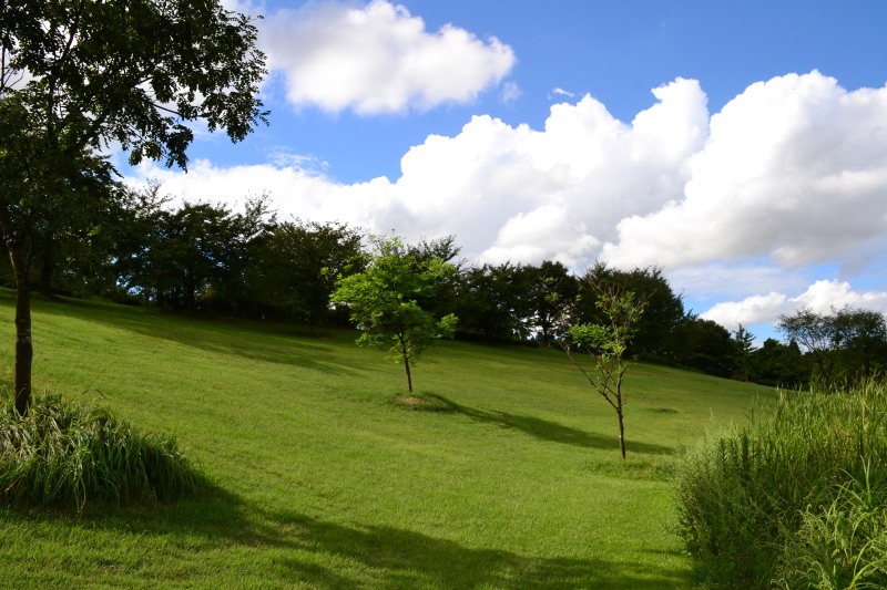 f:id:y3575t3545:20210923125525j:plain