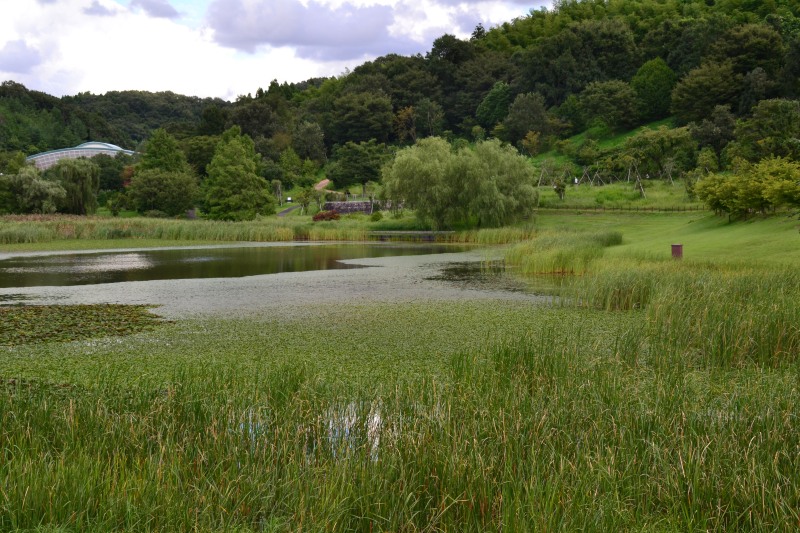 f:id:y3575t3545:20210923125709j:plain