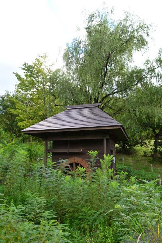 f:id:y3575t3545:20210923125844j:plain