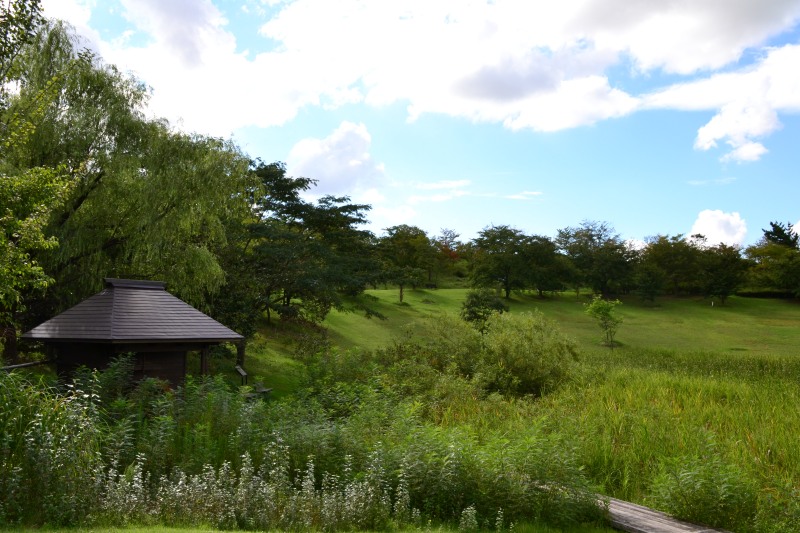 f:id:y3575t3545:20210923130259j:plain