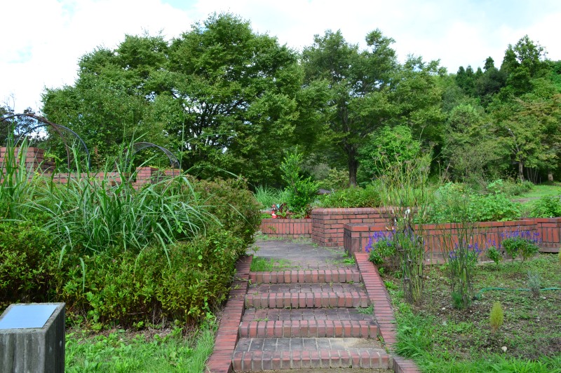 f:id:y3575t3545:20210923163543j:plain