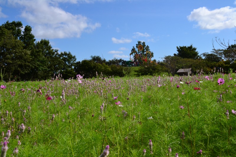 f:id:y3575t3545:20211007214150j:plain